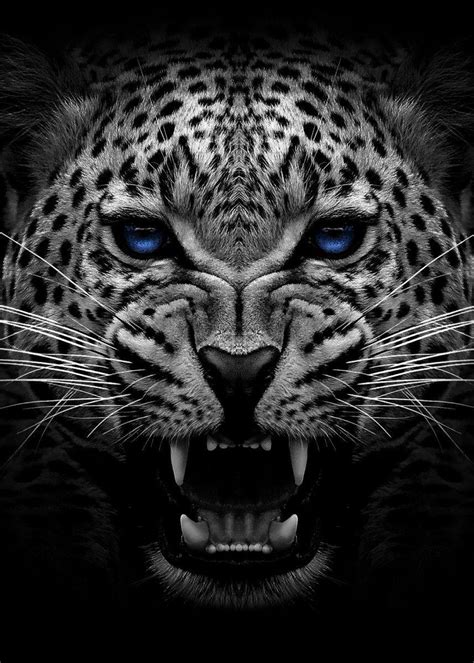 Angry Jaguar Wallpapers - Top Free Angry Jaguar Backgrounds - WallpaperAccess