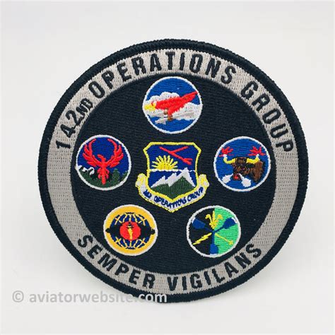 Oregon ANG 142nd Wing Gaggle Patch | AVIATORwebsite