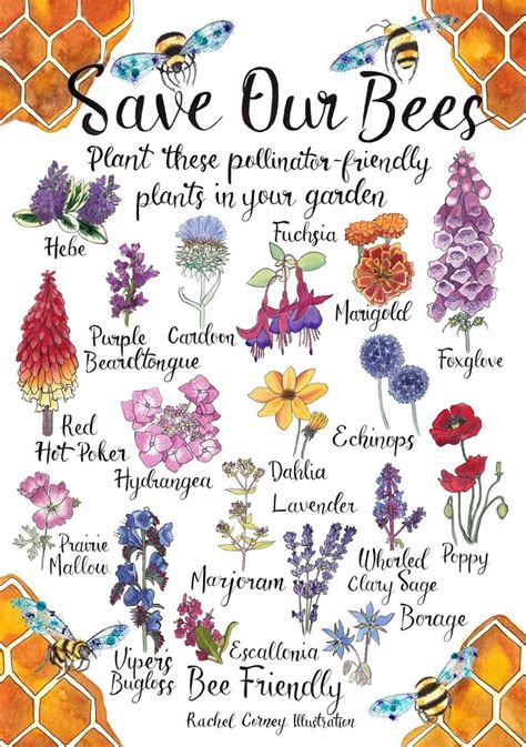 Bee Friendly Save Our Bees Planting for Pollinators A3 Poster - Etsy UK ...