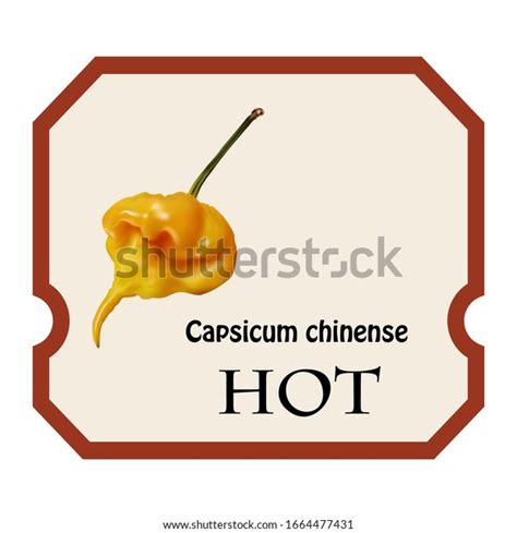 6 Capsicum Chinense Varieties Royalty-Free Images, Stock Photos ...