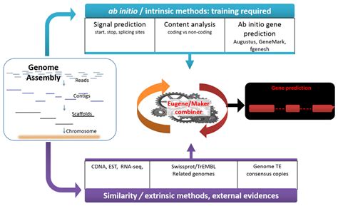 Ten steps to get started in Genome Assembly and... | F1000Research