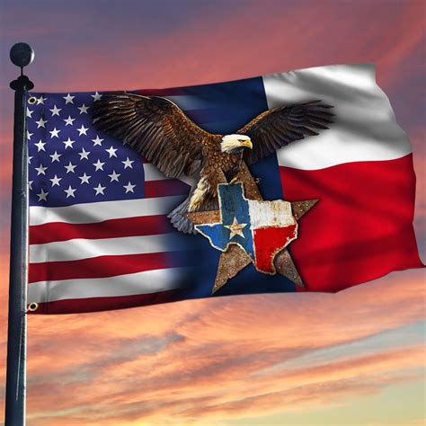 Texas Grommet Flag, Eagle Texas American Flag QNK1096GF - Flagwix