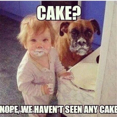 Dog Eating Cake Meme | knowtoefl