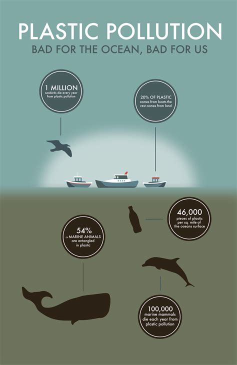 Plastic Pollution Infographic on Behance