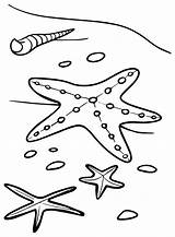 33 Starfish Coloring Pages  Free & Printable For Kids And Adults sketch template