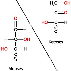 Aldose vs. Ketose: Structural Isomeric Monosaccharides - PSIBERG