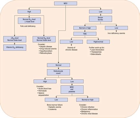 Anemias | Basicmedical Key