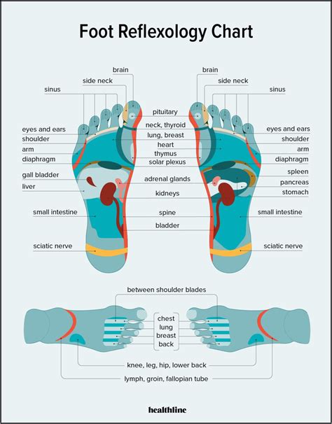 Foot Pain Diagram Bottom