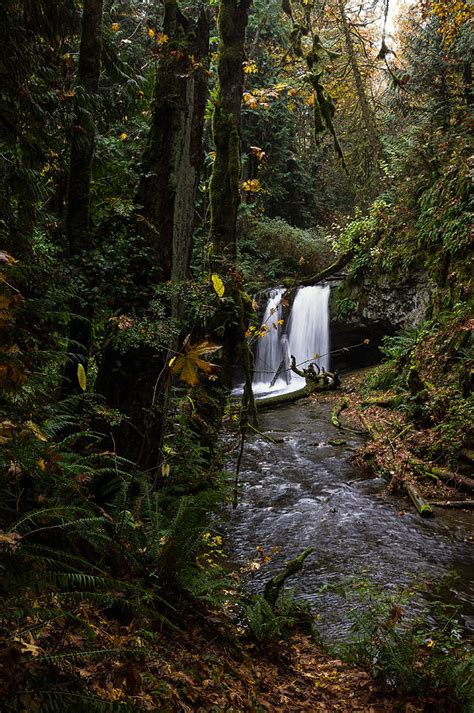 Waterfall Meditation Photograph by Heather Simonds