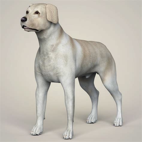 ArtStation - Realistic 3D Dog Collection | Resources