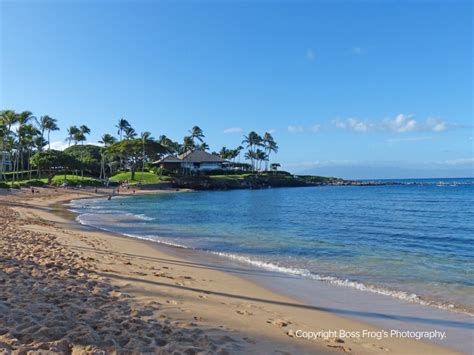 Kapalua Bay Snorkel Guide | Boss Frog's Hawaii