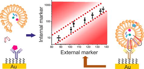 Concentration-Normalized Electroanalytical Assaying of Exosomal Markers | Exosome RNA