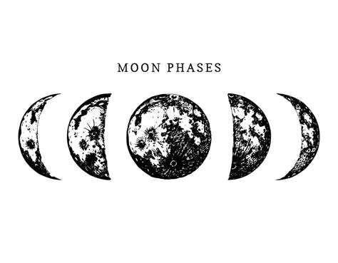 Moon Phases clipart transparent - ClipartLib