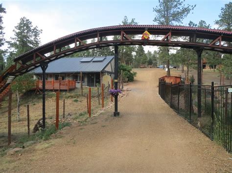 Colorado Wolf and Wildlife Center – Divide, CO | Wolf, Coyote, Fox Sanctuary