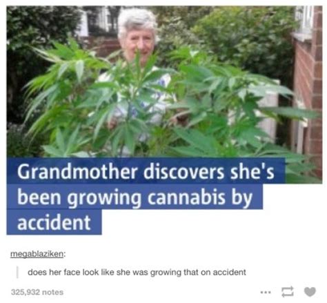 Weed Memes | Fun