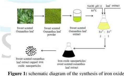 [PDF] Synthesis of Iron Oxide Nano Particles by the Use of Osmanthus Fragrance Leaf Extract ...