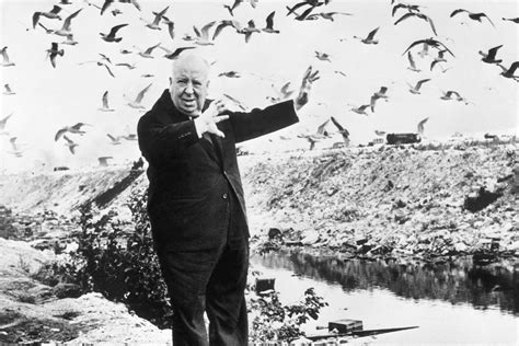 When Hitchcockian horror came true: The 1960s killer bird swarm that inspired "The Birds ...