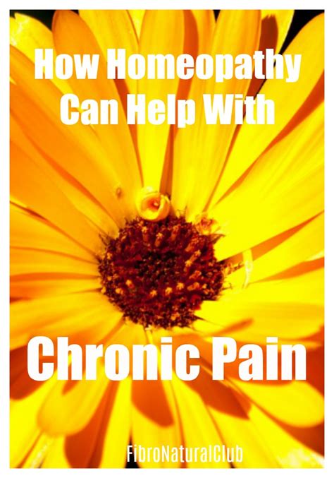 Homeopathic remedies for chronic pain - Fibro Natural Club