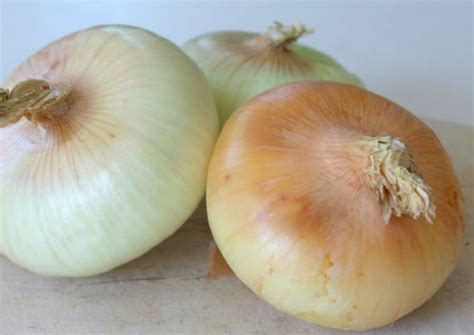 How to quick-pickle sweet Vidalia onions - Chatelaine.com