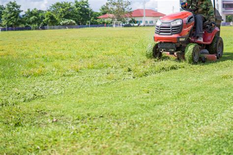 7 Winter Lawn Care Tips (to Keep Your Property Beautiful!)