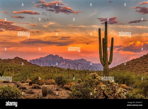 Sunset in the Sonoran Desert near Phoenix, Arizona Stock Photo - Alamy