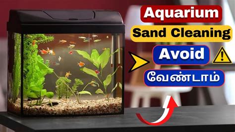 Secrets to Cleaning Aquarium Sand | Avoid These ! | மீன் தொட்டி மண்ணை சுத்தம் செய்வது எப்படி ...