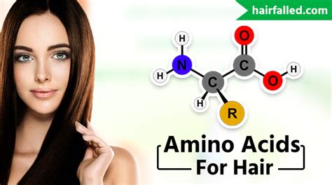 Amino Acids For Hair Growth, Hair Benefits, And Side Effect - Hair falled