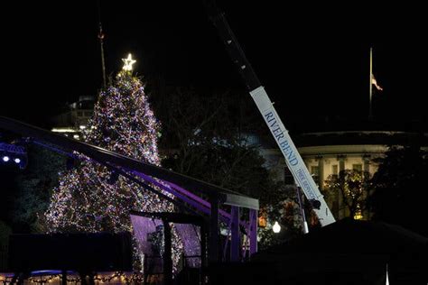 National Christmas Tree Falls Over Amid High Winds - The New York Times