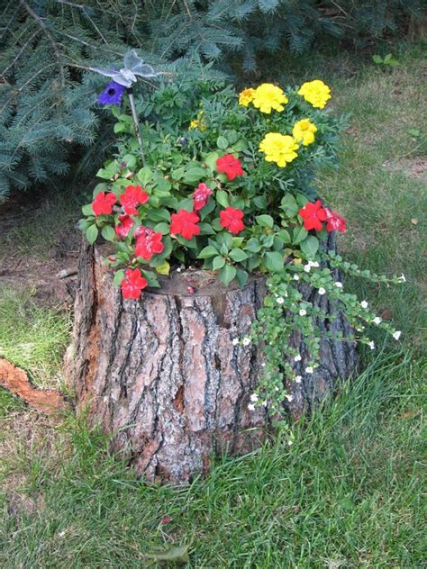 15 Excellent Tree Trunk Ideas To Decorate Your Garden - The ART in LIFE