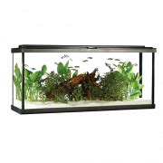 Aquarium Fish Tank PNG Image HD - PNG All | PNG All