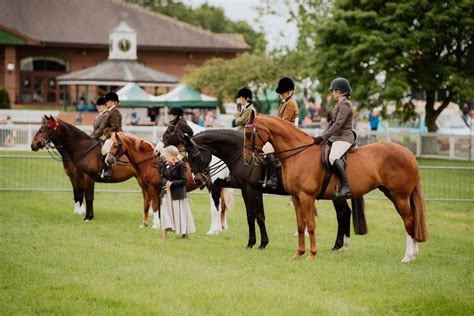 GALLERY: Spectacular fun at Staffordshire County Show | Express & Star