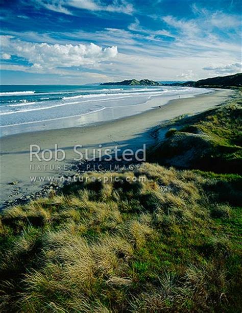 Wainui Beach, north of Gisborne, Gisborne, Gisborne District, Gisborne Region, New Zealand (NZ ...