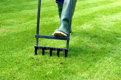 lawn care tools | Kellogg Garden Organics™