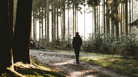 Man Walking Alone in the Forest