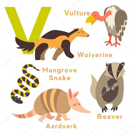 V letter animals set Stock Vector Image by ©coffeee_in #95723306