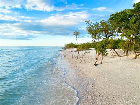 Tips For Honeymoon Island State Park: A Florida Gem - Florida Trippers