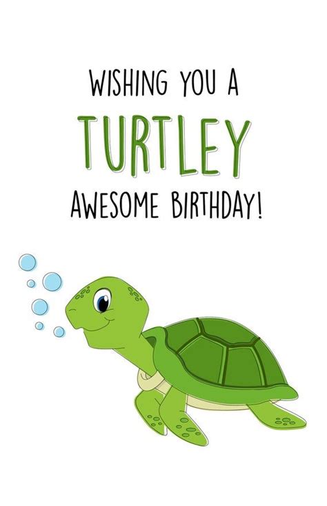 Funny Birthday Card, Happy Birthday Card, Cute Birthday Card, Turtle Birthday Card, Birthday ...