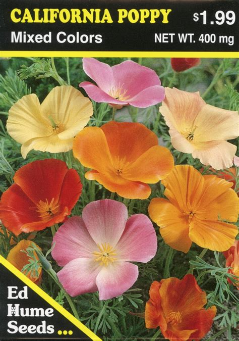 California Poppy – Mixed Colors – Hume Seeds