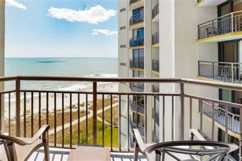 10 Best Pet-Friendly Hotels in Myrtle Beach - Great Pet Living