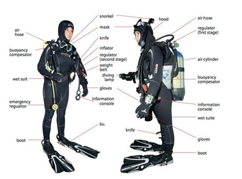 50+ Scuba Diving Equipment Names - niekdez