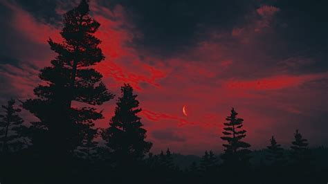 Moon, Red Night, Sky, Forest, Scenery, 4K, #6.2202 Wallpaper PC Desktop