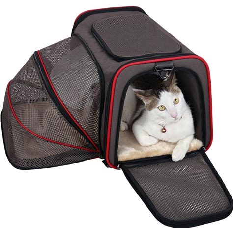 Cat Travel Part II: Finding the Right Cat Carrier | Litter-Robot Blog