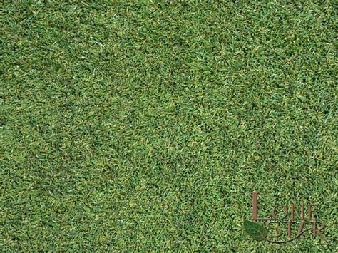 896-texture-gallery-artificial-turf | Lone Star Landscaping