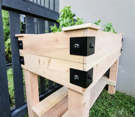 How to build a DIY elevated garden bed