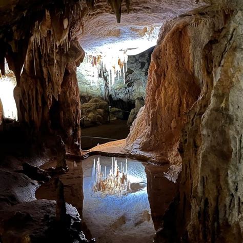 Naracoorte Caves, South Australia : r/AussieCasual