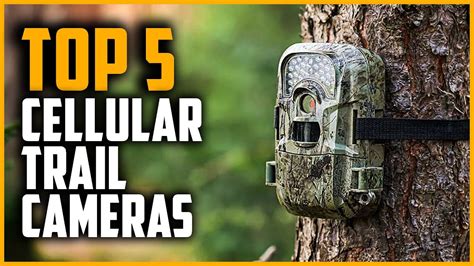 Best Cellular Trail Cameras 2024 | Top 5 Best Cellular Trail Camera ...