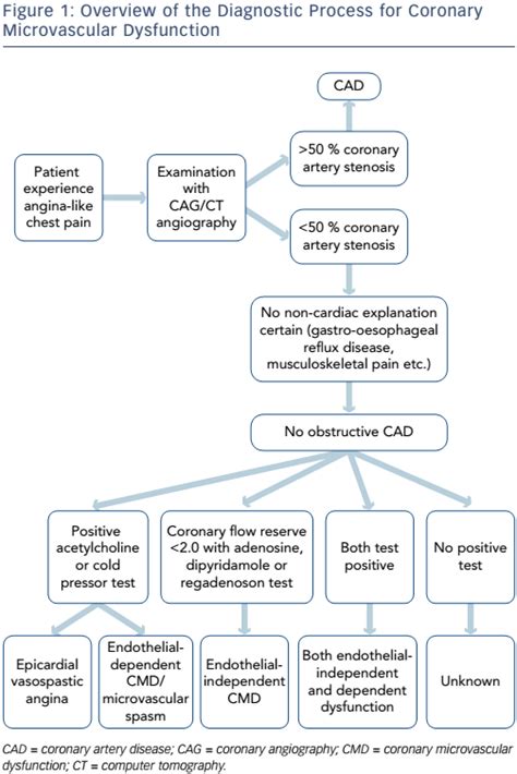 Women with Stable Angina Pectoris and No Obstructive Coronary Artery ...