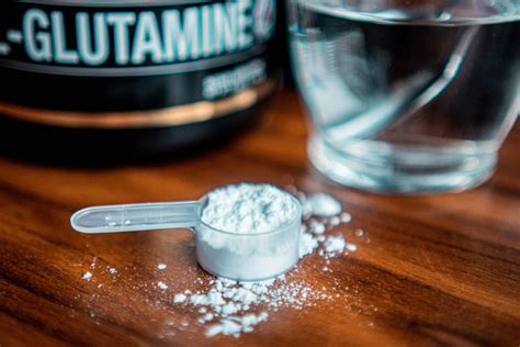 Top 4 Glutamine Benefits: Muscle Recovery, Immunity & Gut Health | Vitalscend