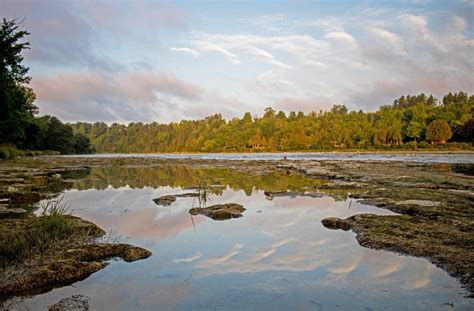 Falls Reserve Conservation Area: Images and Video