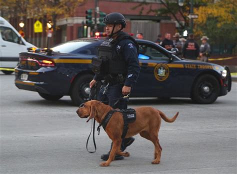 Police Bloodhound - Lost Pet Research and Recovery